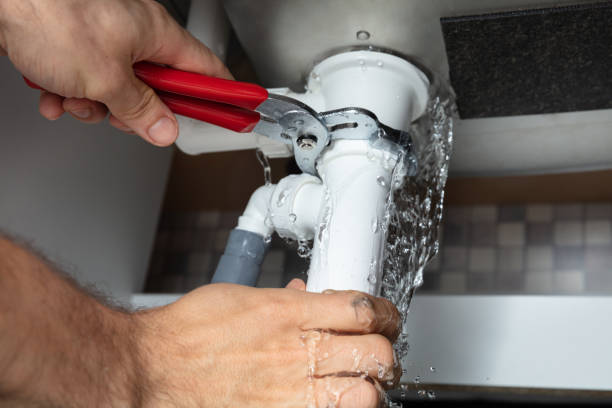 Best Carpet water damage restoration  in Robie Creek, ID