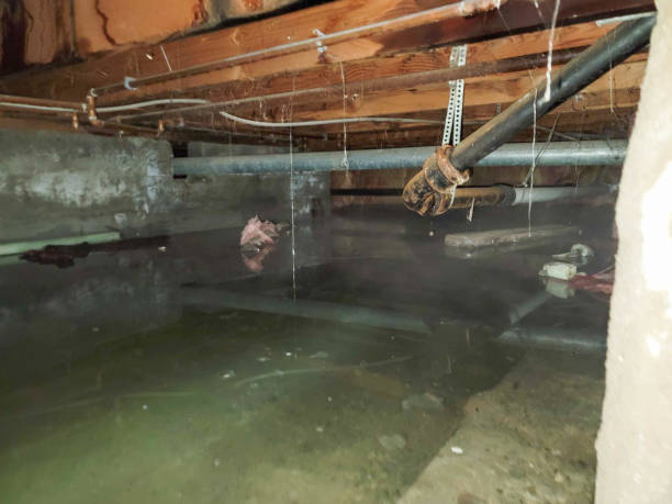 Robie Creek, ID Water damage restoration Company