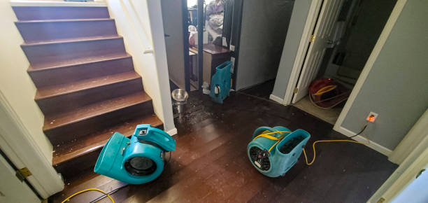 Best Water damage contractors near me  in Robie Creek, ID