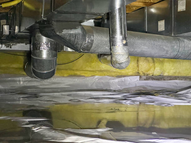Best Water damage restoration near me  in Robie Creek, ID